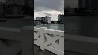 Miami Marathon 2019 Venetian Miatown