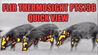 FLIR THERMOSIGHT PRO PTS736 ТЕПЛОВИЗИОННЫЙ ПРИЦЕЛ БЫСТРЫЙ ПРОСМОТР