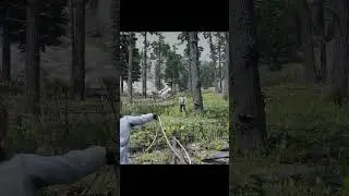 Watch Out, Tree Falling! RDR2