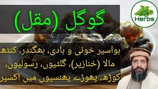 Health Benefits of Gugal Gum Urdu/Hindi | Guggal ke fayde | گوگل | Hakeem Zia ur Rehman