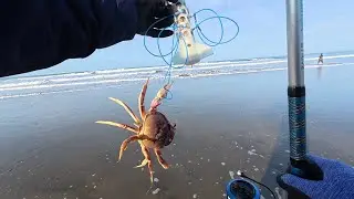 Thanksgiving Keeper! Dungeness Crabbing at Ocean Beach | 2025-11-27