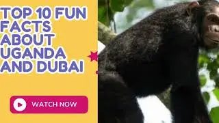Book Nest Travel Top 10 Fun Facts #Uganda #Kenya #Tanzania #Dubai