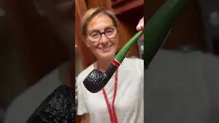 ❤️ Gli shape pi&ugrave; amati tra le Savinelli St. Nicholas 2025!