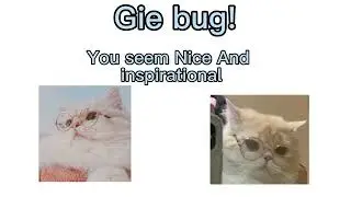 Cat pfps (that I found on Pinterest) for cool people