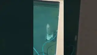 Hexagone robot  PEP'S 200 pool cleaner