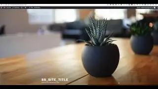 2017 Install Divi Theme & Plugins on Wordpress