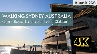 Walking Sydney Harbour, Opera House to Circular Quay Train Station - 9 March 2023 (4K)