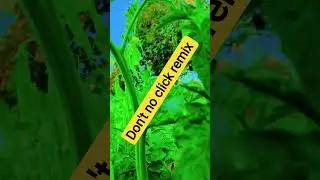 don't no click remix by #remix #song #music #newsong #farming