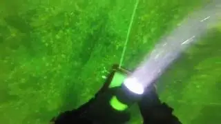 Squid on the rocks