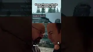 Когда играешь в Skyrim уже больше 10 лет