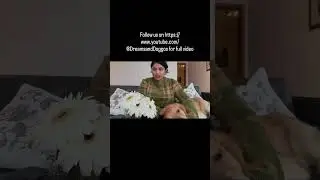 Follow for full video on relocation process for a dog from India to Europe/UK
