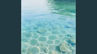 &Aacute;guas rasas