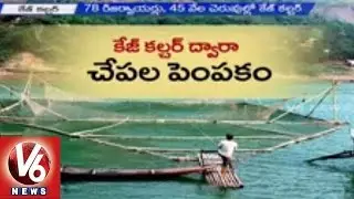 TRS government to Implement Cage Culture Fish Farming in Telangana | V6 News (17-06-2015)