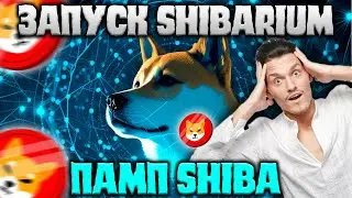 ВАЖНО! ЗАПУСК SHIBARIUM LAYER 2 - РОСТ SHIBA INU ДО 0.01$?
