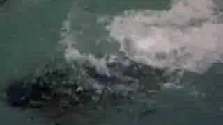 boy anito's adventures-digyo island 4