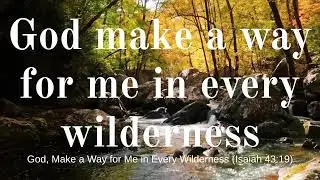 God, make a way for me in every wilderness.