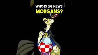 Who is Big News Morgan really? #onepiece #anime