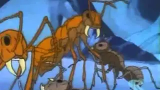 Micro aventuras