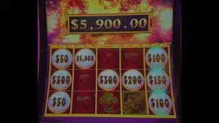 $50,00 ball.What a great hit accident hit $40 bet $2 deno on Lion Link.So excited and forgot to film