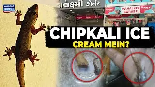 Shocking! Lizard Tail Found in Cone Ice Cream &ndash; Woman Hospitalized!