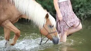 Fotoevent: Freilauf im Wasser
