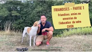 LA FRIANDISE - PARTIE 1        Friandises, amies ou ennemies de l'éducation de votre chien ?