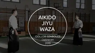 AIKIDO JIYU WAZA - GOLLOB SZABOLCS - TENJINCHI ONLINE-HOMEDOJO