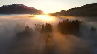 Brother Samuel_Live worship (Audio Version)