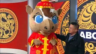 Meet the 2026 San Francisco Chinese New Year Parade mascot, Maverick