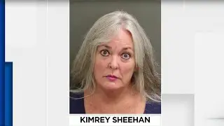 Hunter&rsquo;s Creek Elementary principal tried to run over neighbor, Orange County deputies say