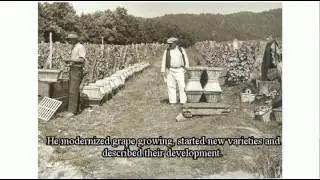 Razglednica iz prošlosti Kutjeva