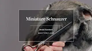 Breed Standard Trim - Miniature Schnauzer Masterclass Trailer
