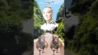 TikTok is the best app TikTok: #recommended #fyp #viral #june #tiktok #ytshorts #shorts