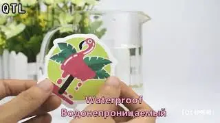 QTL STICKER