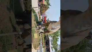 Magic Iceland Park , কোনাখোলা কেরানীগঞ্জ ঢাকা। ম্যাজিক আইল্যান্ডস পার্ক।