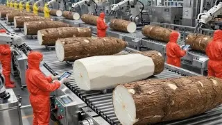 Inside the Factory: United States Giant Cassava Processing Line (Full Industrial Process)