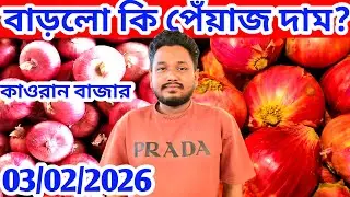 পেঁয়াজের 03/02/2026 দাম বাড়তি কি?  আলু রসুন আদার পাইকারি দর কত?Onion price  at Kawran Bazar 