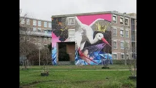 Wandelen buiten de binnenstad van Den Haag - Laakkwartier