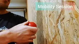 Quick Mobility Session with GOWOD for Ring Muscle Ups and Handstand PushUps