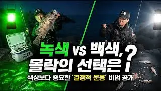 볼락Q : 집어등 색깔은 녹색이 좋아요? 백색이 좋아요?