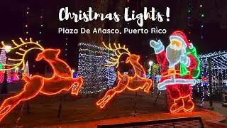 Christmas Lights! | Plaza De Añasco, Puerto Rico