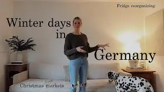 VLOG: Winter Days in Germany + reorganizing my fridge, Living room changes & my 1st Market ✨ 🎄 ☃️