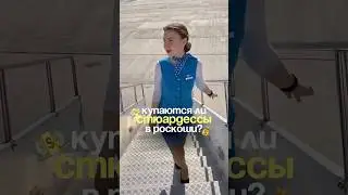 Много или мало?) Лучший уход для волос на WB: 175088486🫧#уходзаволосами #стюардесса