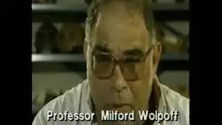 out of Africa migration theory debunked
