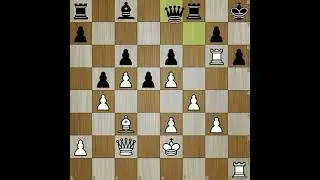 Endgame Susan Polgar Vs Anatoly Karpov #chess #chessgame