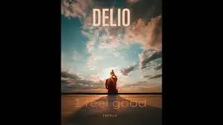 DELIO // I Feel Good // Remix