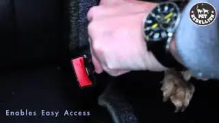 Pet Rebellion   Car Seat Carpet