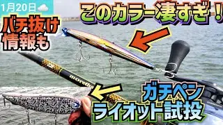 ブローウィンのこのカラー凄い！ガチペンライオット試投！&2夜連続2026年バチ抜け情報
