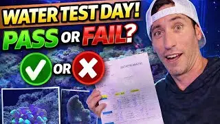 PASS OR FAIL?! | Water Test Day After 10 Days GONE!