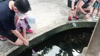 Longkang Fishing @ Qian Hu Fish Farm
